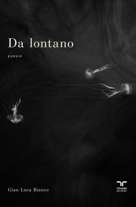 Da lontano