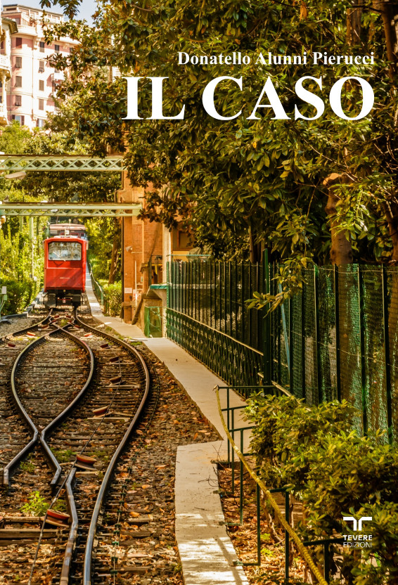 Il caso